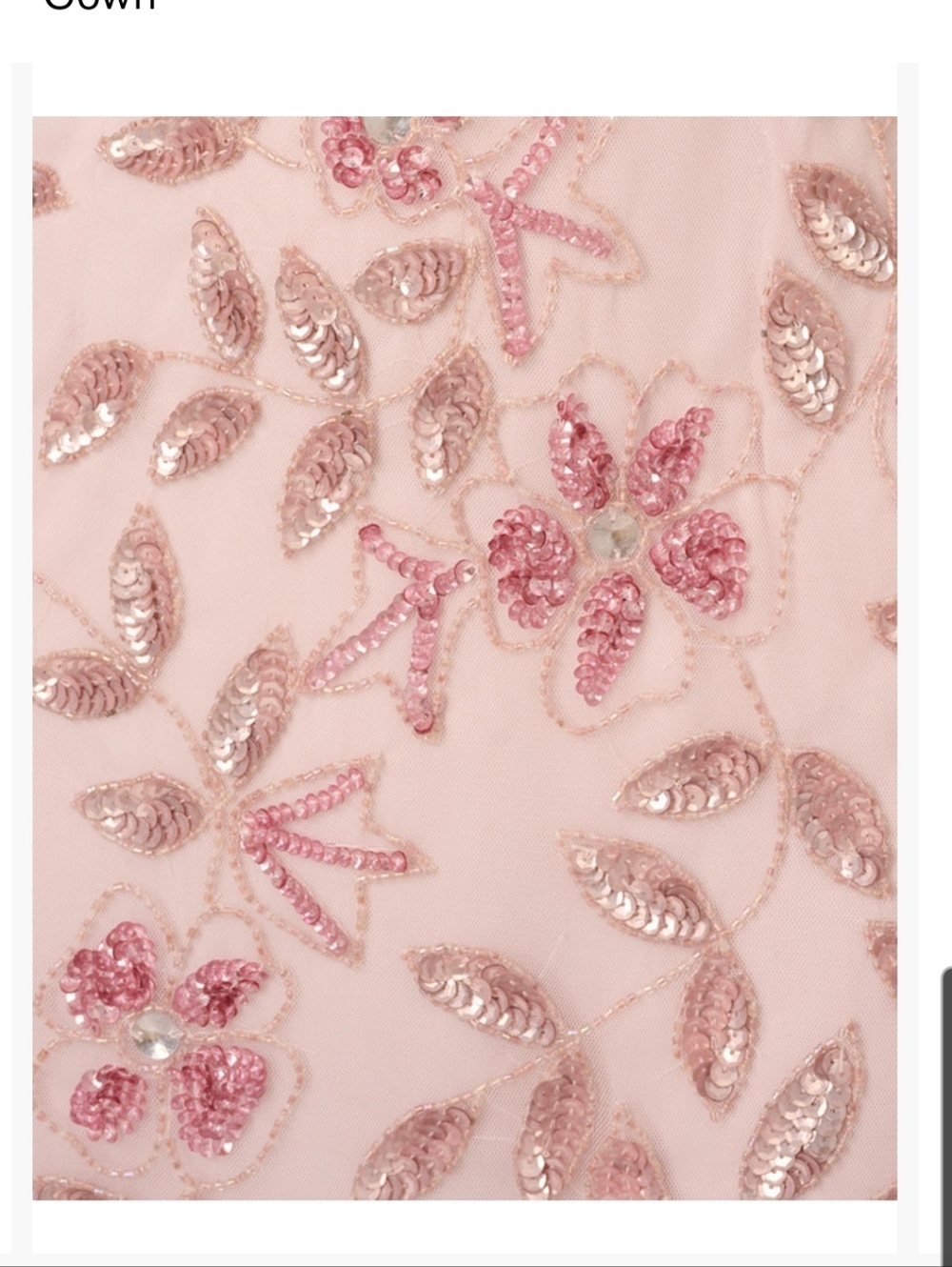 Adrianna Papell Women's Floral -Beaded Blush Pink Gown - Picture 4 of 13